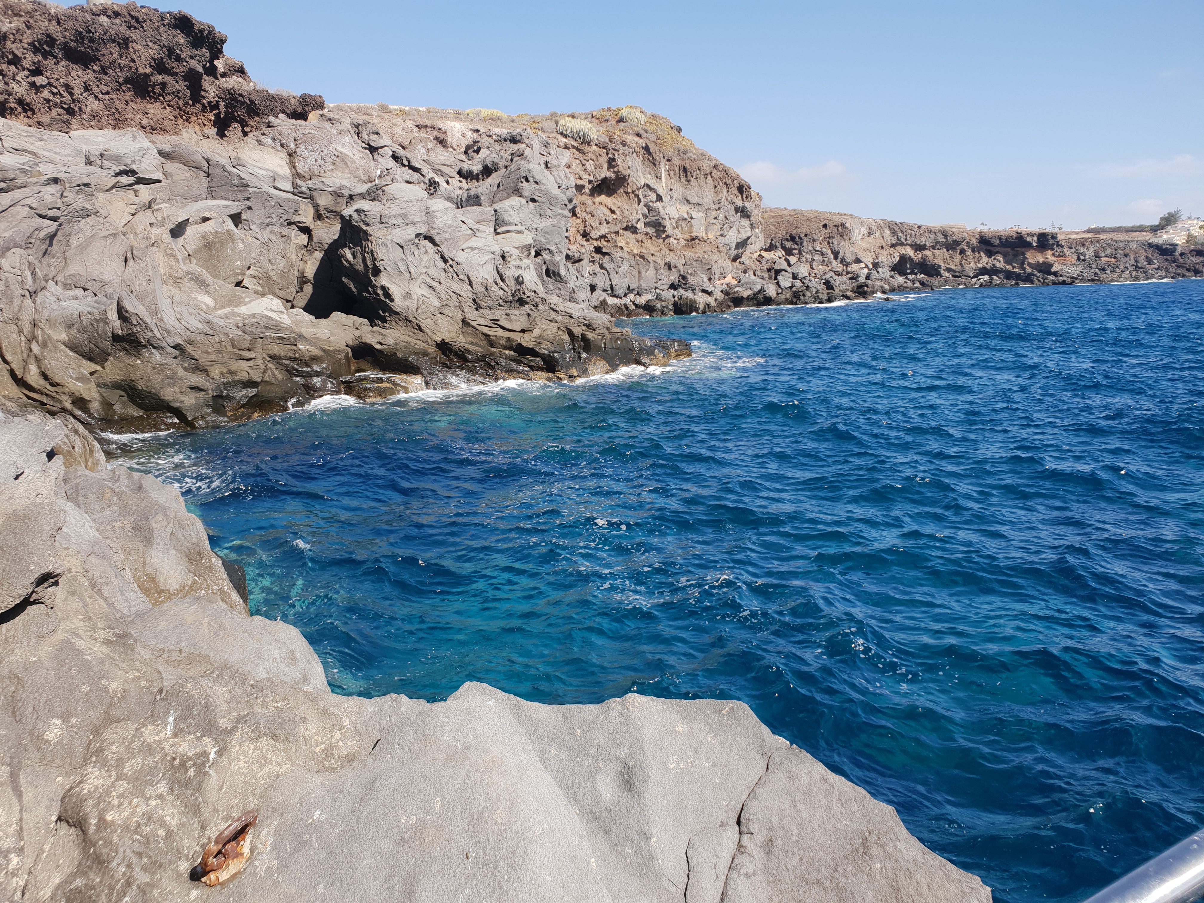 ECCO COSA C'E' IN ANTARTIDE!